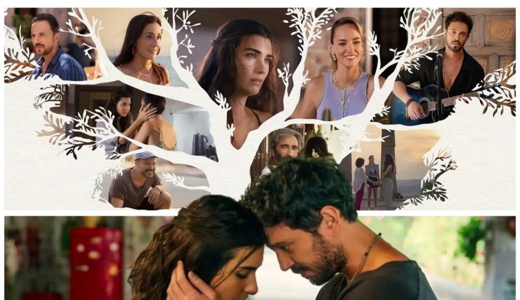 Journée constellations Aix en Provence