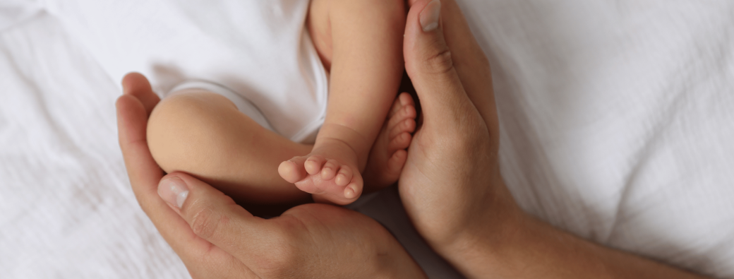 Journée d'atelier Pédia