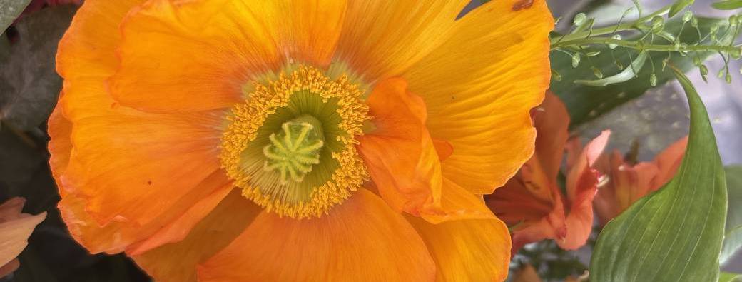 Journée de constellations familiales 