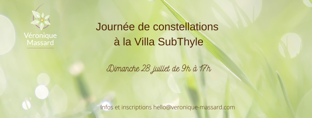 Journée de constellations