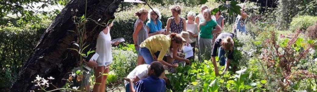 Journée de découverte Jardin Nourricier