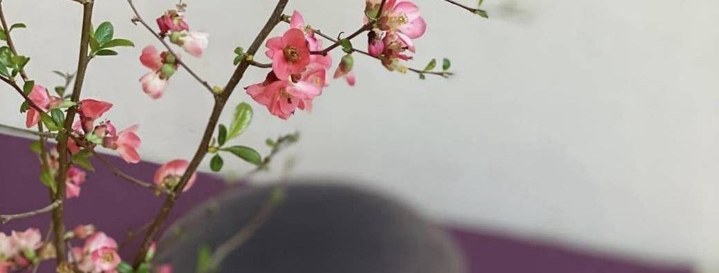 Journée de méditation de pleine conscience