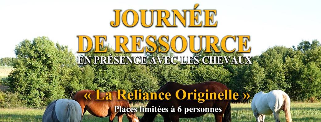 Journée de Ressource         " La Reliance Originelle "