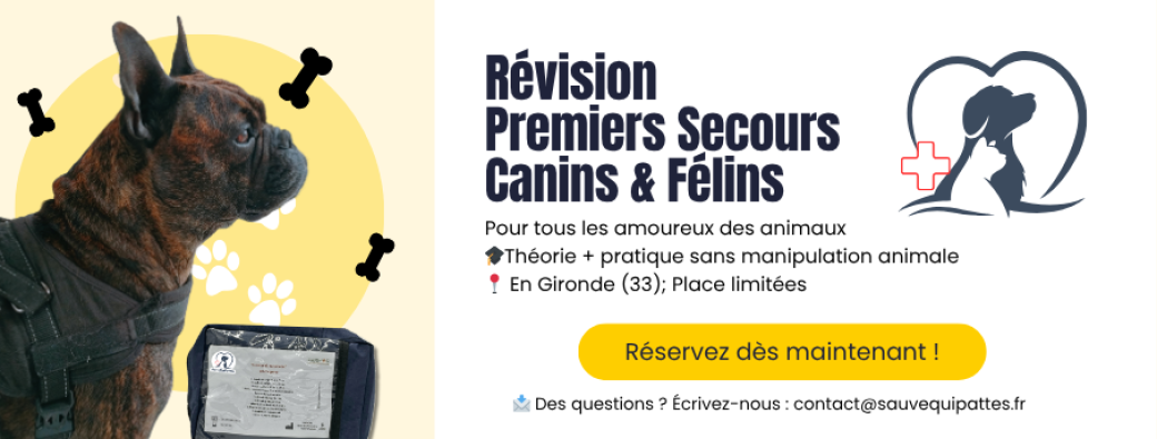 Révision formation Premiers secours canin félin