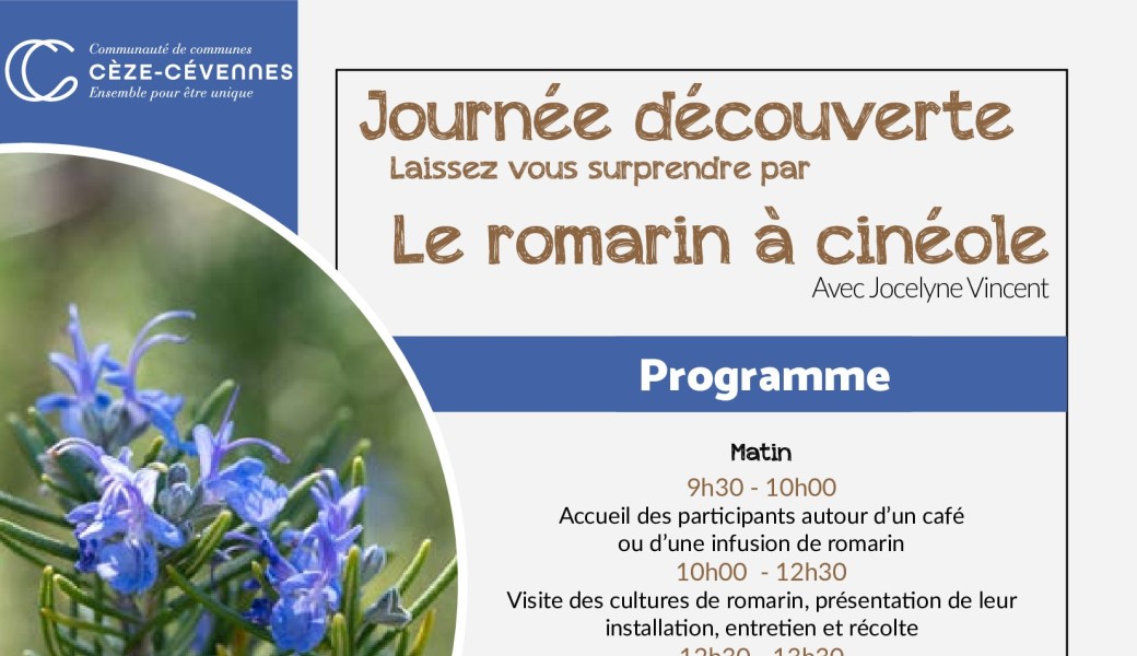 Journée découverte : Laissez vous surprendre par Le romarin à cinéole
