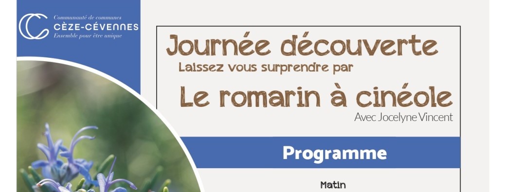 Journée découverte le romarin à cinéole