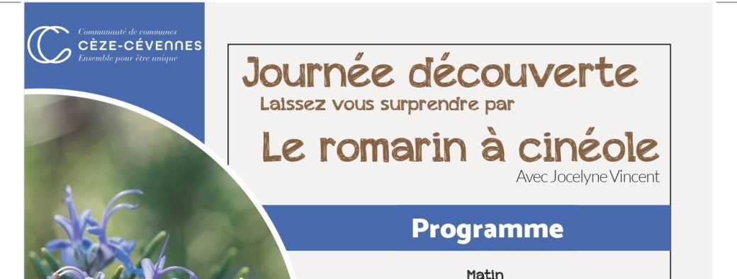 Journée découverte le romarin à cinéole