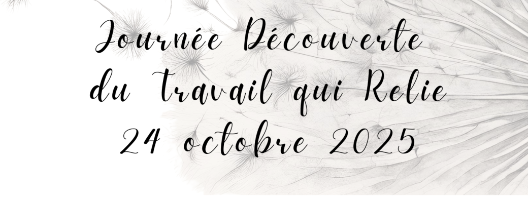 Journée Découverte Travail qui Relie à Lyon