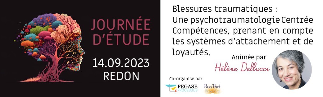 Journée d'étude avec Hélène Dellucci : Psychotraumatologie Centrée Compétences