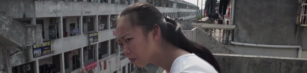 Journée d'étude "L'art post-documentaire de Wang Bing"