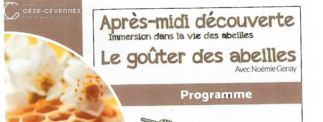 Journée immersive : Après-midi découverte "Le goûter des abeilles" avec Noémie Genay