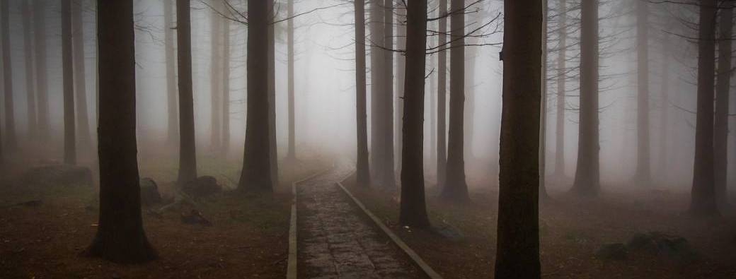 Journée Immersive Celte : Rituel de Samhain