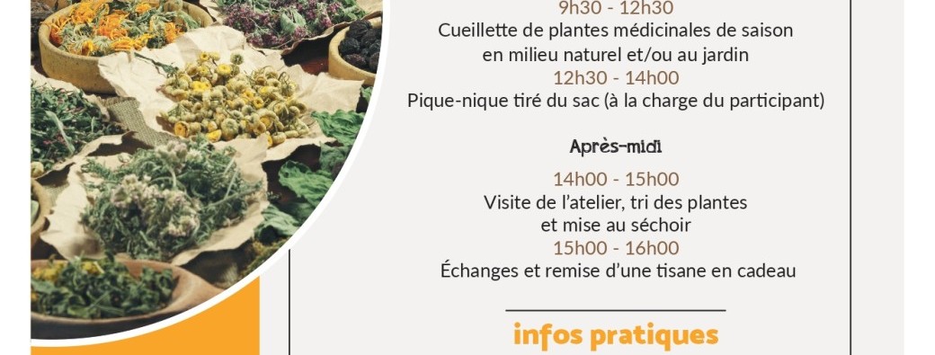 Journée immersive cueilleuse