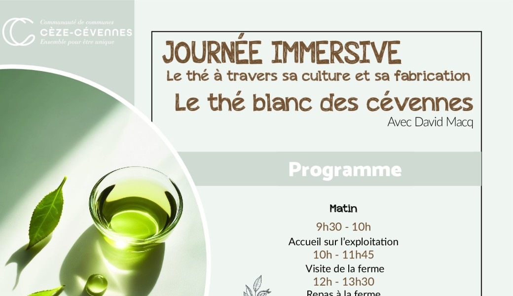 Journée immersive : Le thé blanc des Cévennes