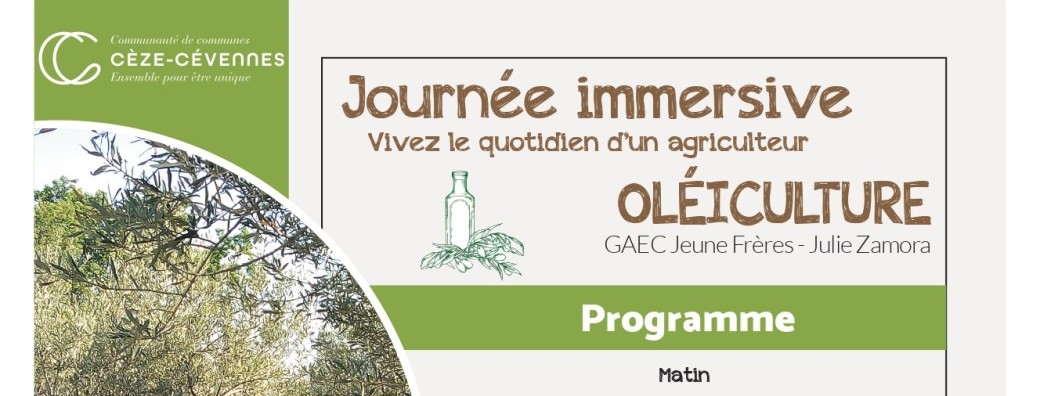 Journée immersive oléiculture