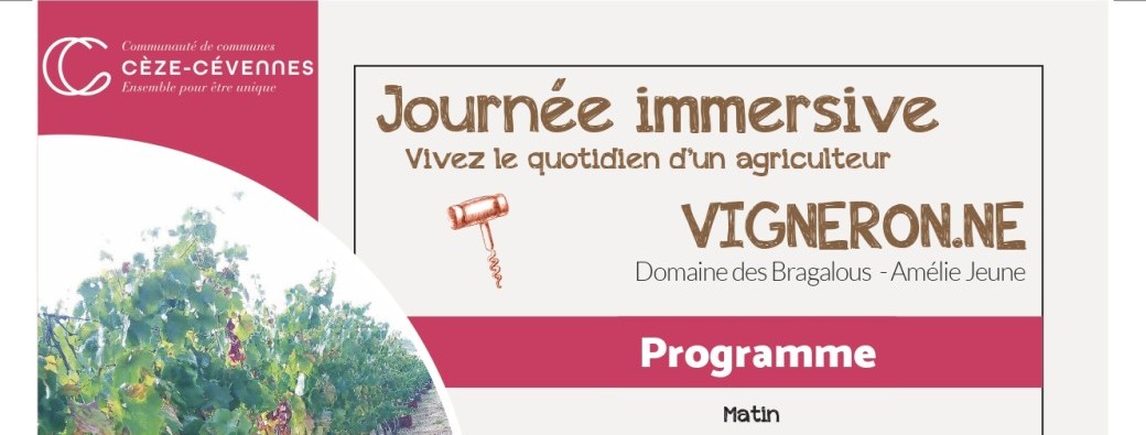 Journée immersive Vigneronne