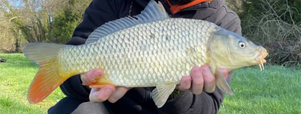 Journée pêche des cyprinidés au feeder