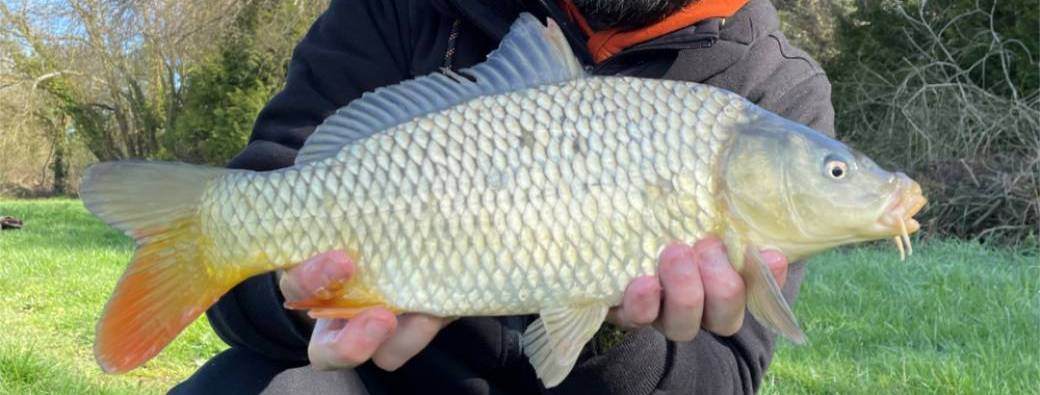 Journée pêche des cyprinidés au feeder - Vitré
