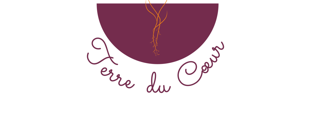 JOURNÉE PRESENCE ET VIBRATIONS