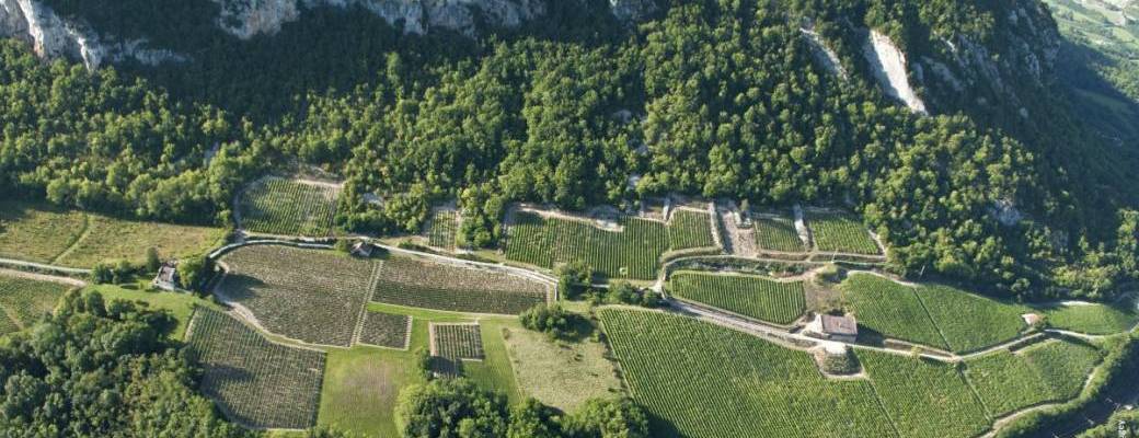 JOURNEE TRUFFE ET VINS DU BUGEY