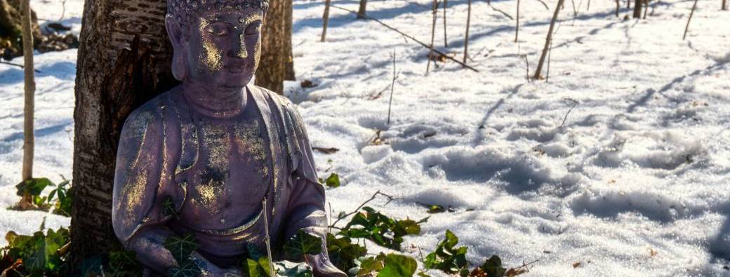 Journée Yoga et Méditation - "Ancrage et Ressources pour 2026""