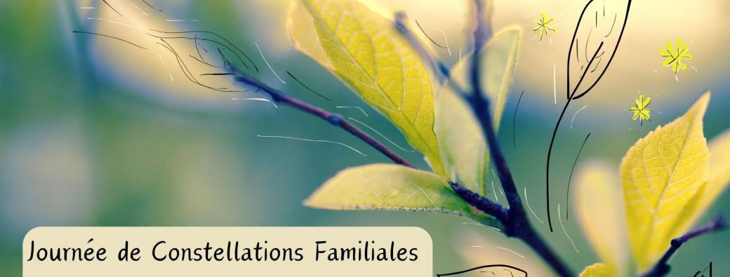 Journées de Constellations Familiales et Systémiques