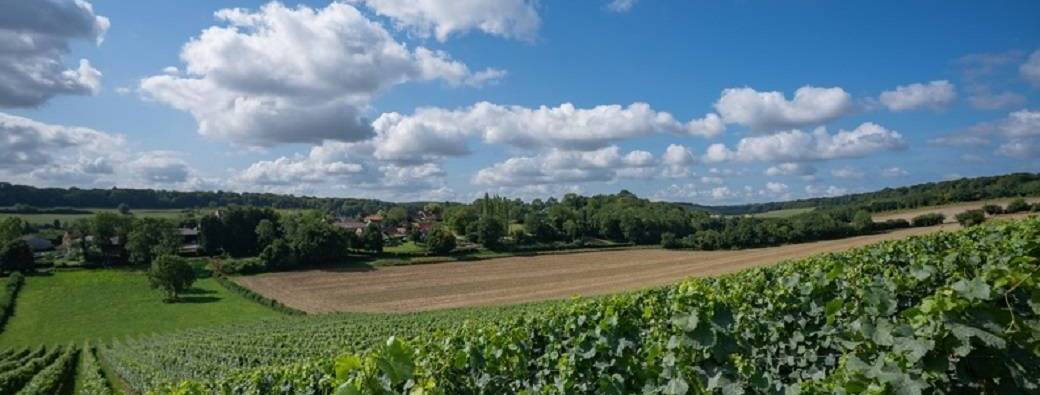 JOURNEES DU PATRIMOINE | Circuit à pied: Le Patrimoine de Mentque Nortbécourt