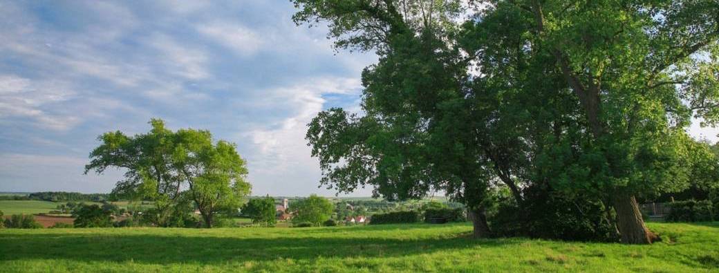 JOURNEES DU PATRIMOINE | Circuit à pied: Le quartier de la Balance Eperlecques (Dès 15 ans)