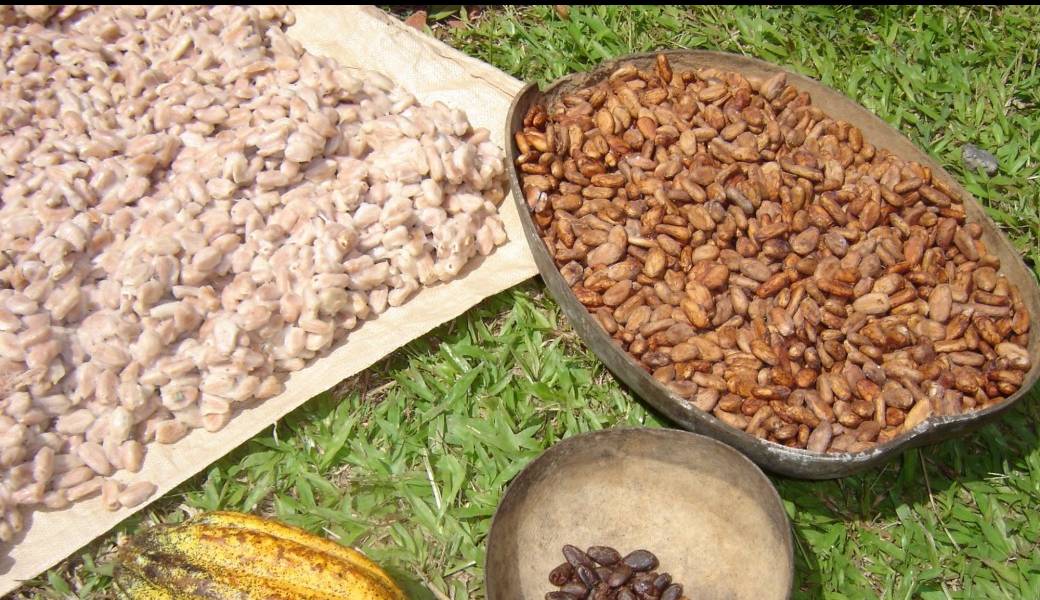 Journées Européeennes du Patrimoine Atelier baton de cacao