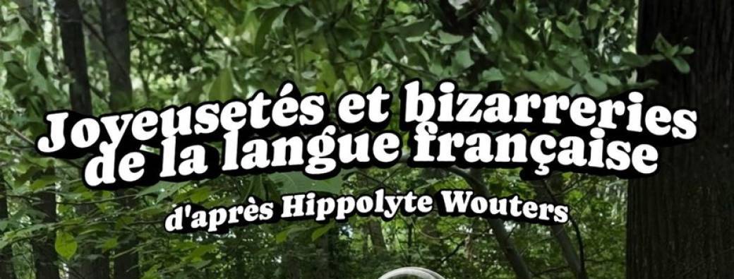 JOYEUSETÉS  ET BIZARRERIES DE LA LANGUE FRANCAISE