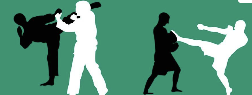 Jujitsu Fight et Boxe