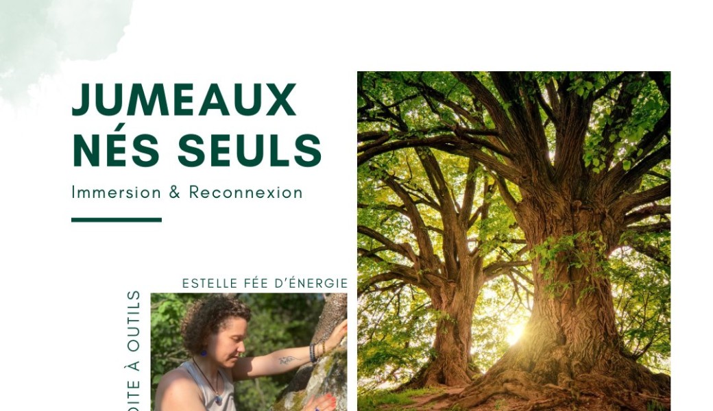 Jumeaux nés seuls - Immersion & Reconnexion
