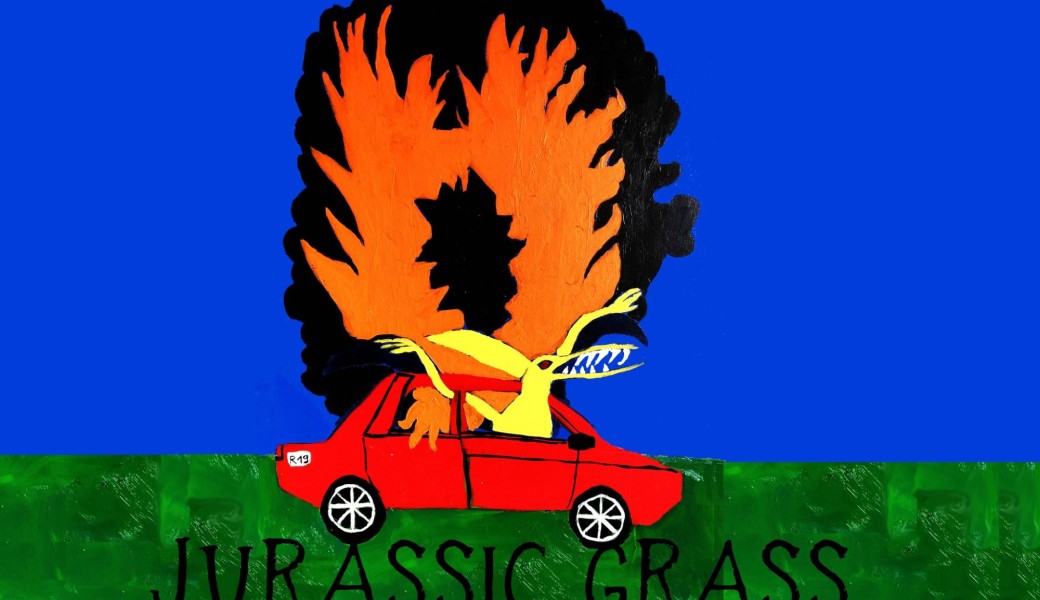 JURASSIC GRASS - Concert Bluegrass