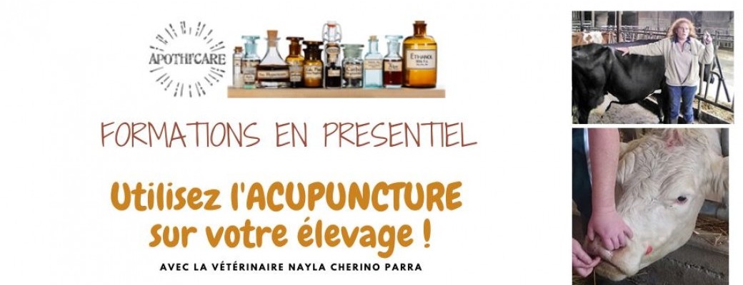 J'utilise l'acupuncture sur mon élevage - INITIATION
