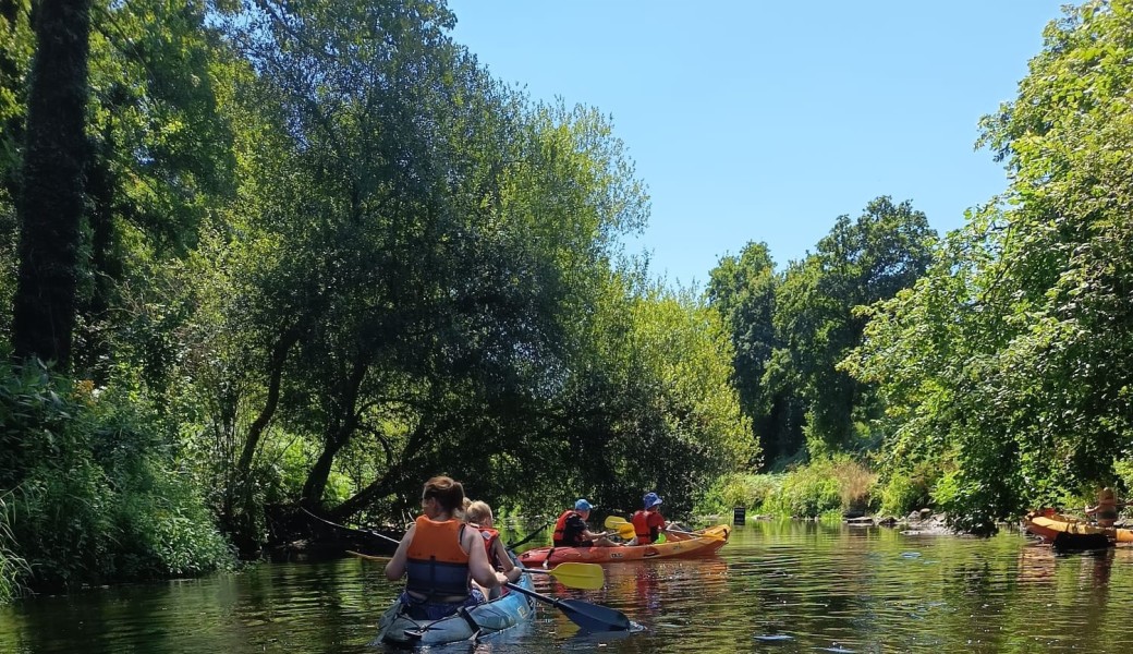 Kayak à la tombée de la nuit