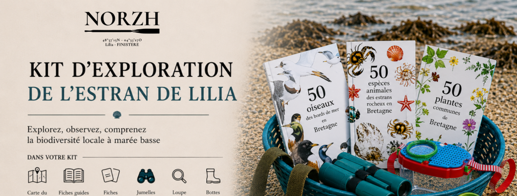 Kit d'exploration de l'estran de Lilia à marée basse