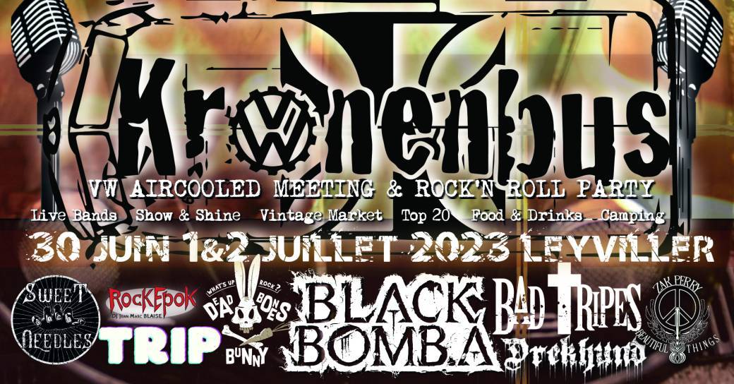 Meeting Kronenbus 2023          L'Evil Air Fest