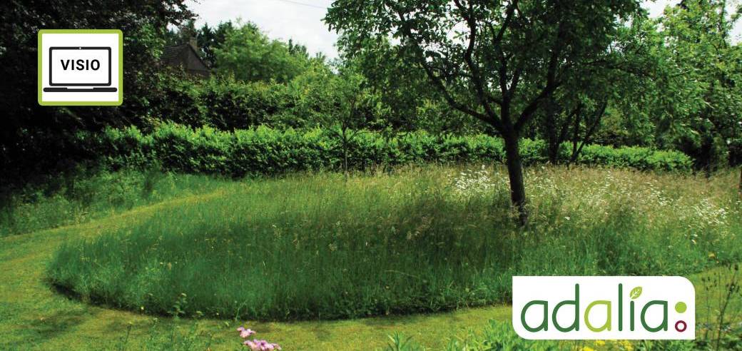     L’adaptation du jardin face aux changements climatiques : la gestion de l’eau (visioconférence)
