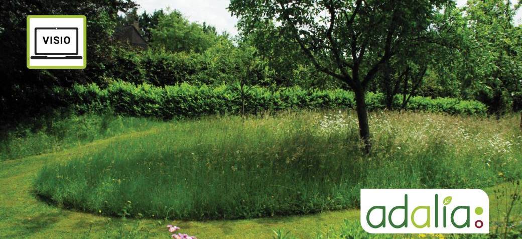 L’adaptation du jardin face aux changements climatiques : végétalisation et fleurissement (visio)
