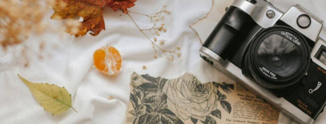 L’art de laisser partir: Cycle photographique et thérapeutique d’automne