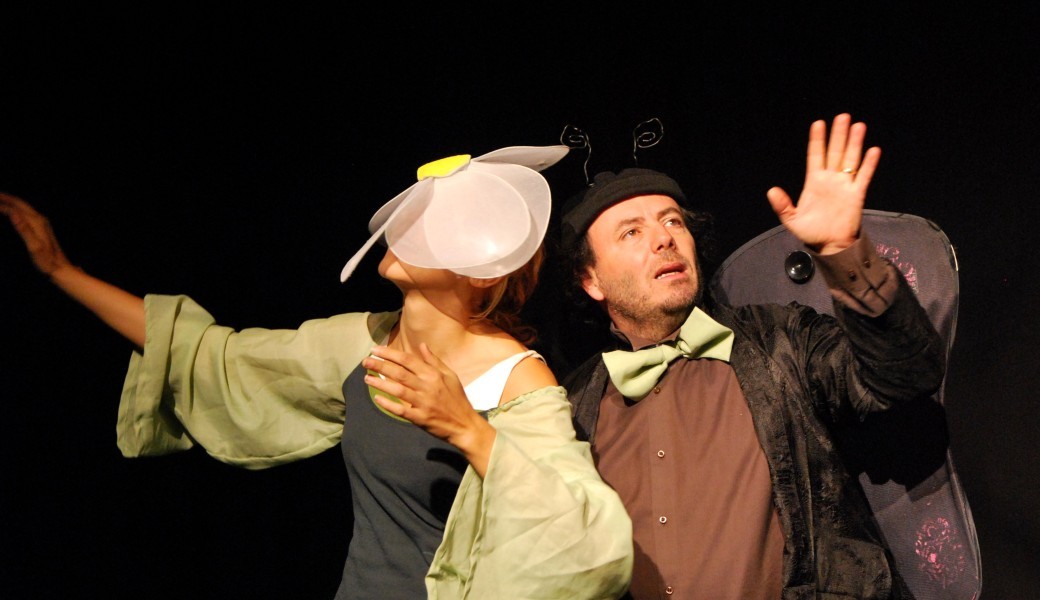 L’EFFET PAPILLON 