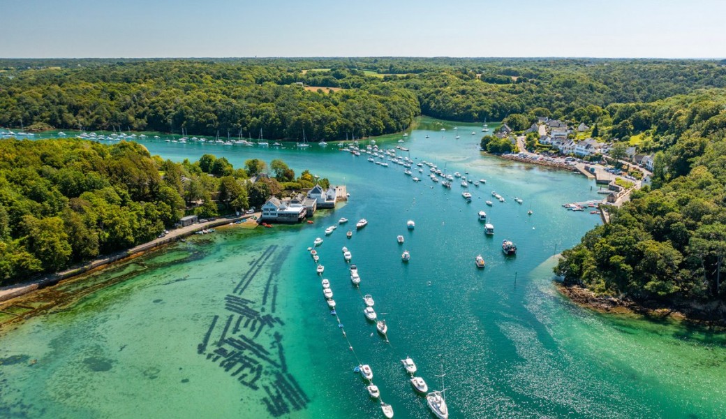 L’huître du Bélon, une renommée mondiale