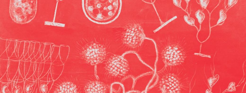 Sortie de résidence - L’incroyable histoire de l’homme  qui devint aussi petit qu’un microbe