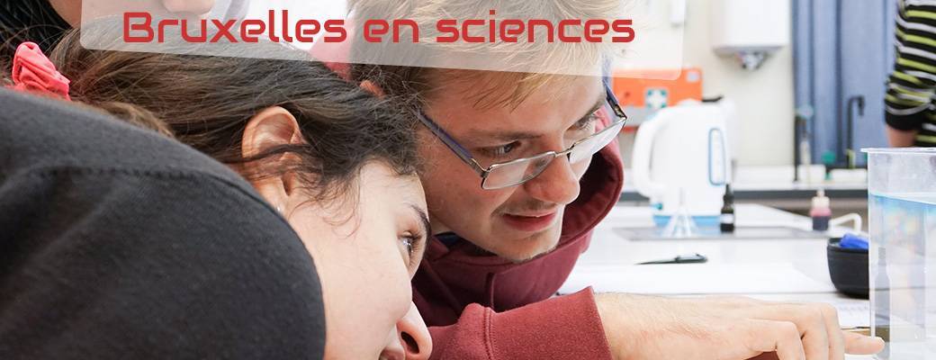 L’oeil et l’appareil photo, des appareils optiques