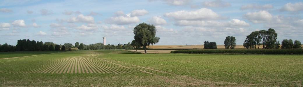 La Balade des Bas Champs