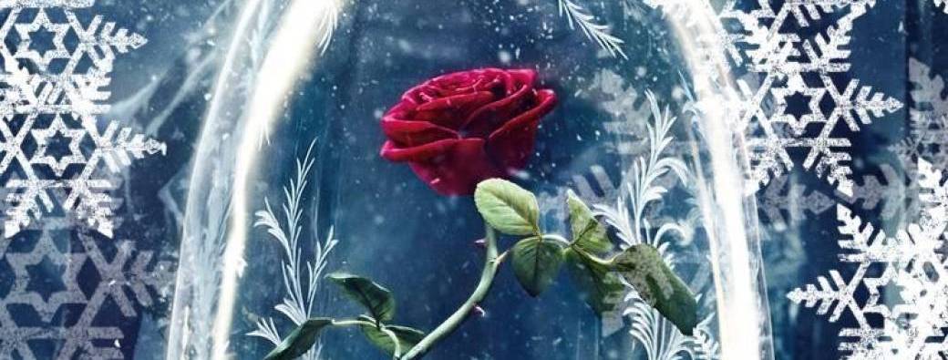 Page De Garde Belle Et La Bête