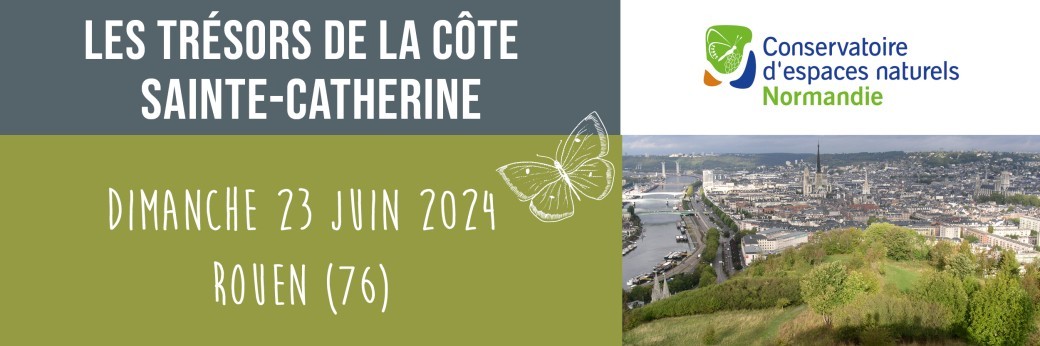 La biodiversité de la Côte Sainte-Catherine 23/06/2024