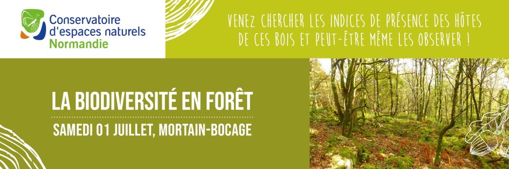 La biodiversité en forêt