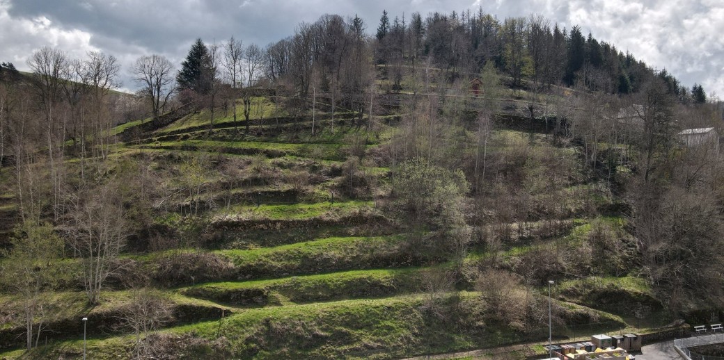 La cerisaie pièce de théâtre de tchekhov