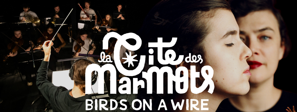 La Cité des Marmots & Birds on a Wire